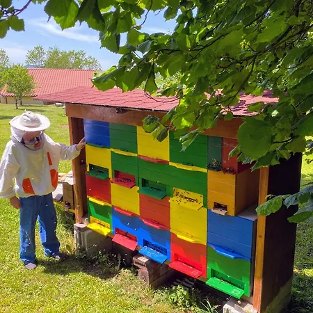 Martinka Apartament *